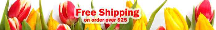 Free Shipping